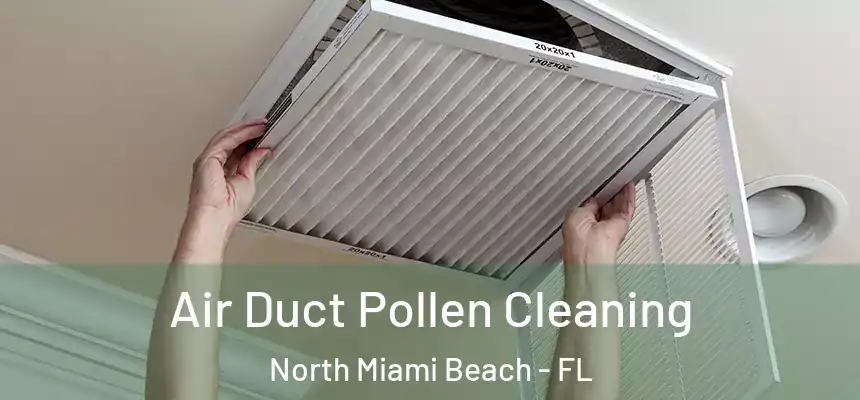  Air Duct Pollen Cleaning North Miami Beach - FL