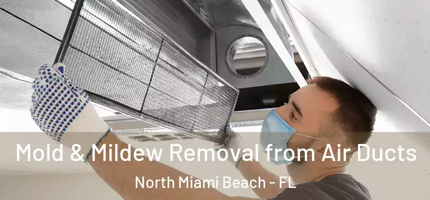 Mold & Mildew Removal from Air Ducts North Miami Beach - FL