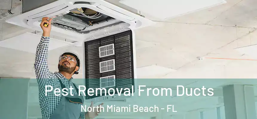  Pest Removal From Ducts North Miami Beach - FL