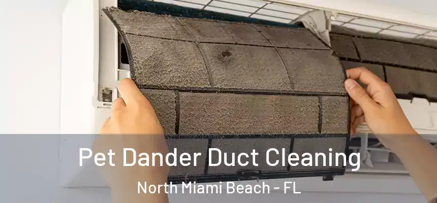 Pet Dander Duct Cleaning North Miami Beach - FL