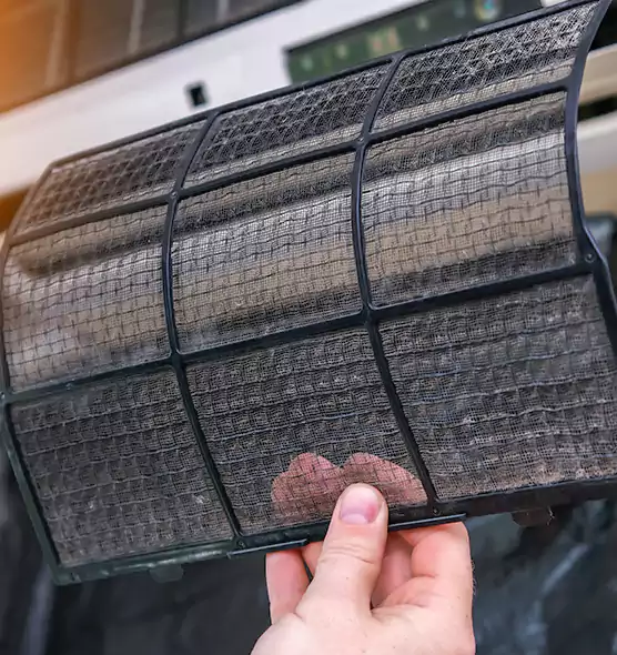 About Pet Dander Duct Cleaning in North Miami Beach, FL